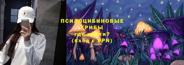 мдпв Пересвет