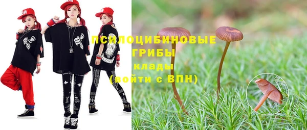 мдпв Пересвет