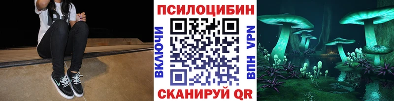 Галлюциногенные грибы Psilocybe  мориарти клад  Зубцов 